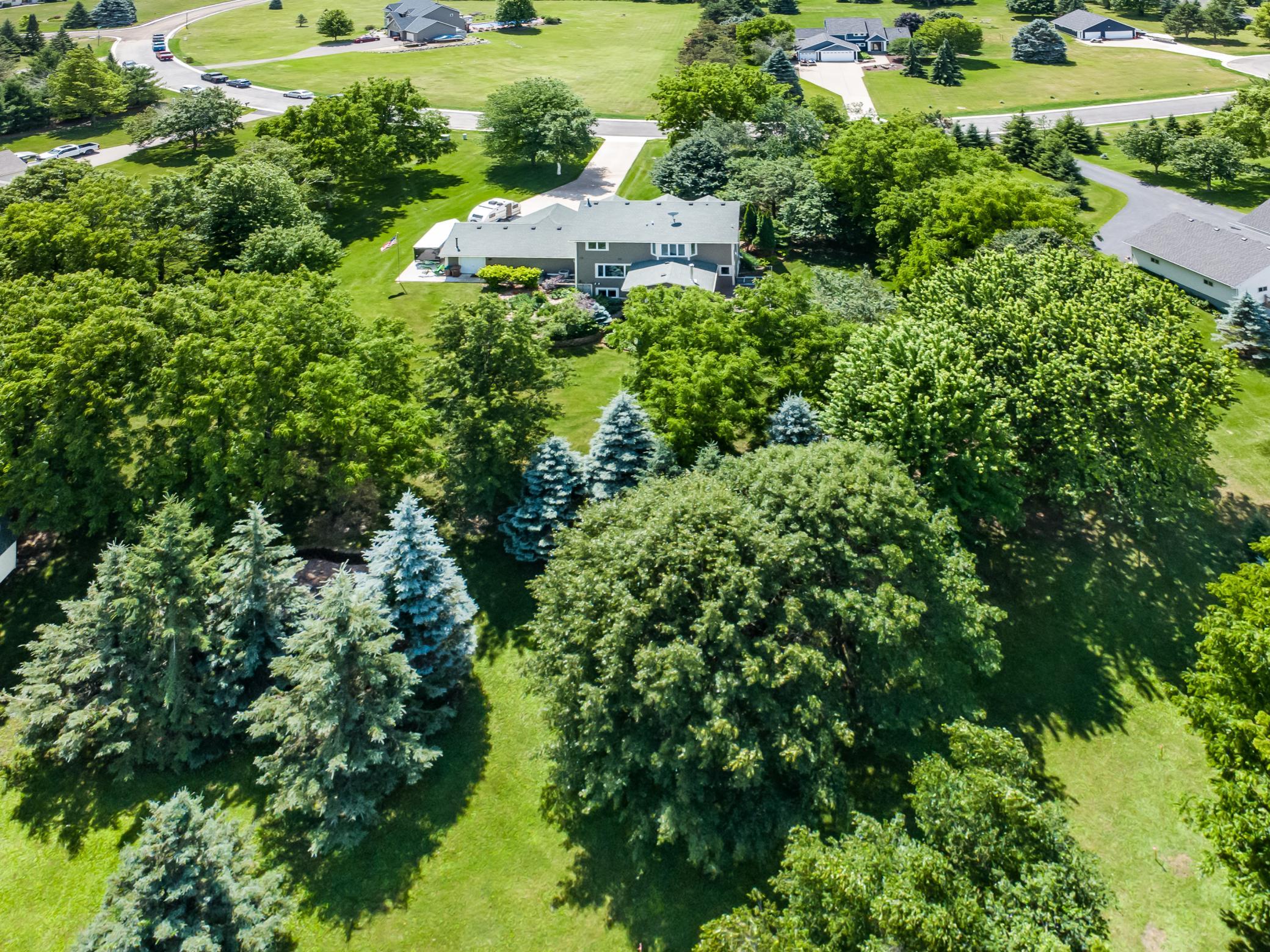 DJI_0165.jpg