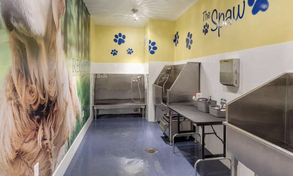 Community pet washing station