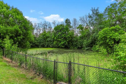 Pond behind yard.