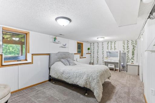 Lower level 4th bedroom