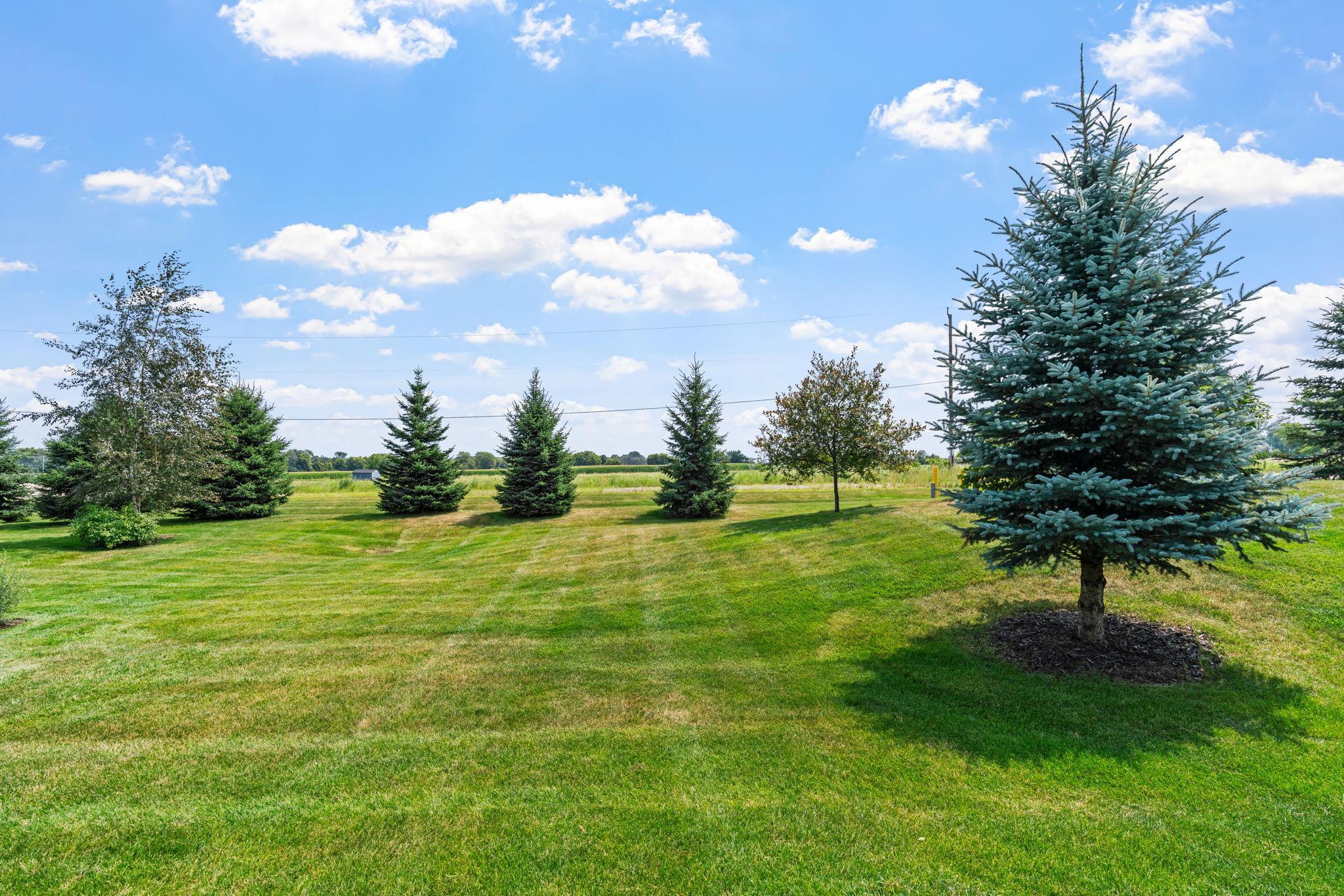 10-web-or-mls-12096 Malisa Ct-10.jpg