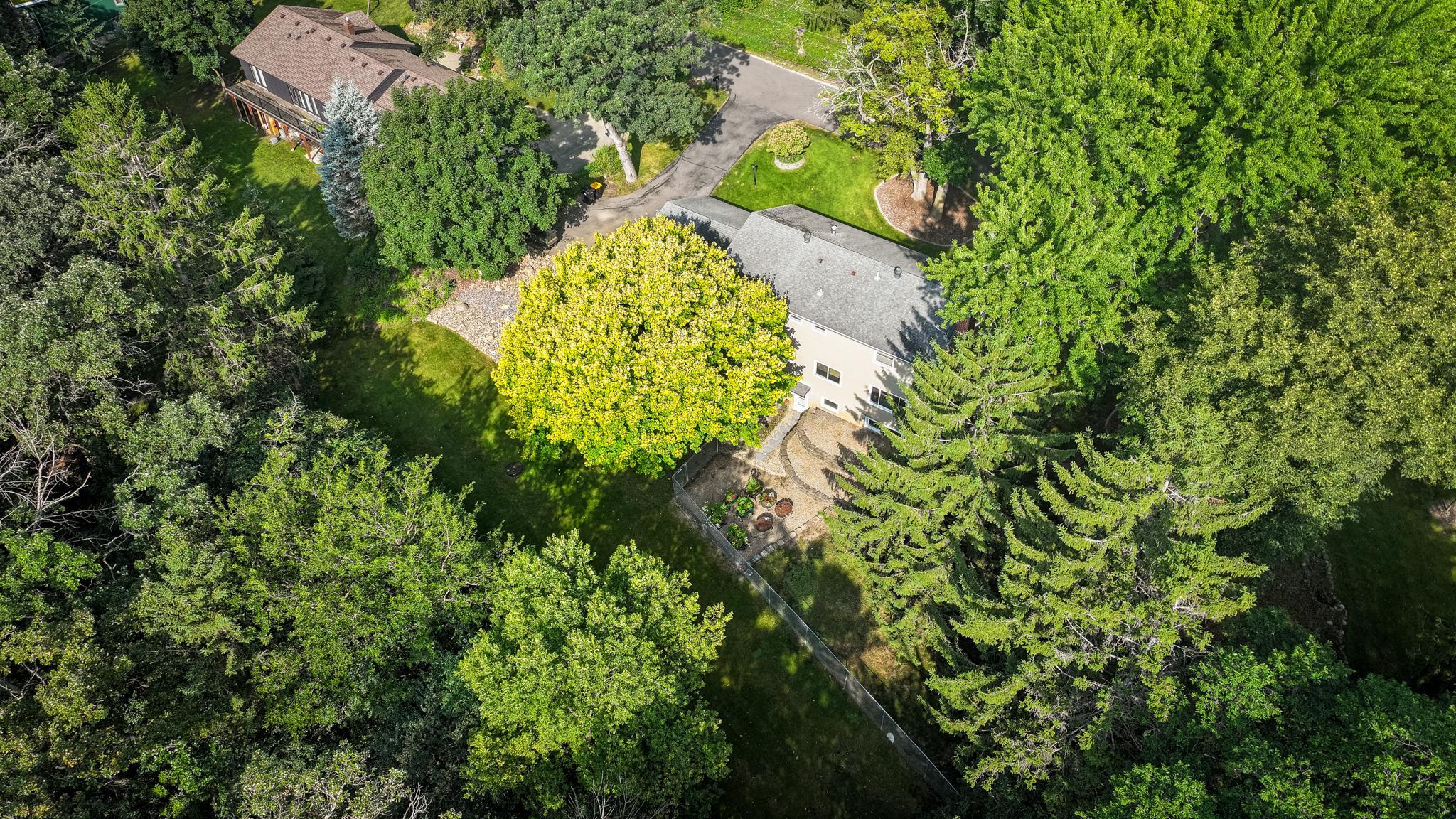 DJI_20260729231003_0238_D.jpg