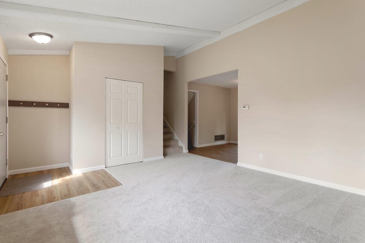 New carpet and LVP