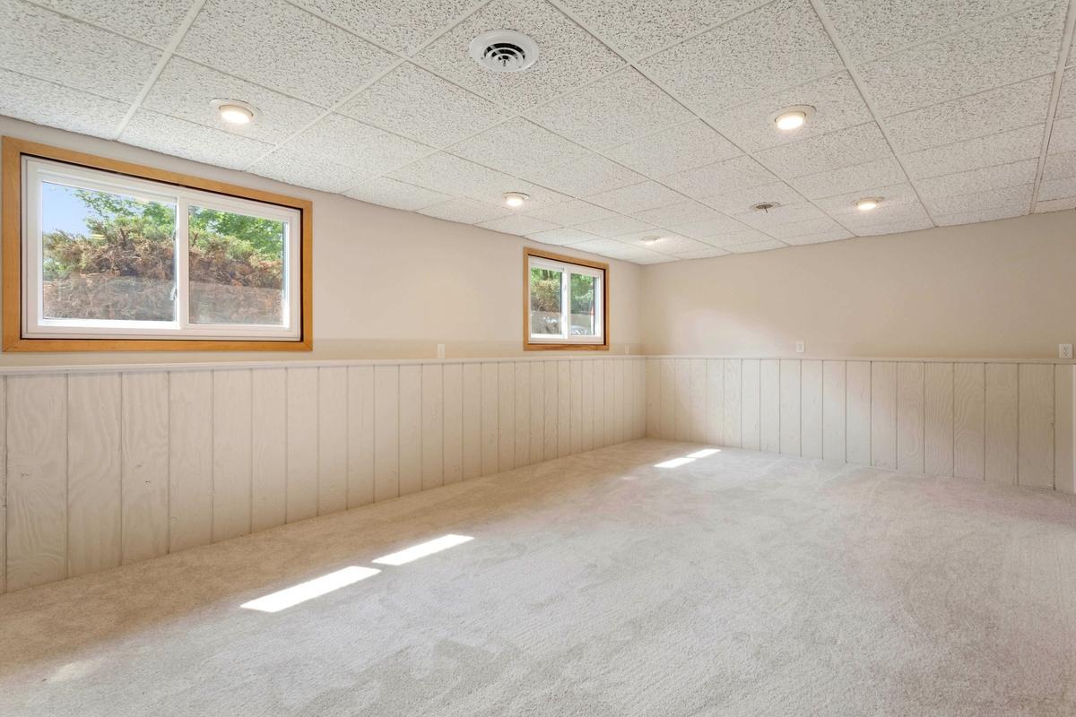 Lower level family room