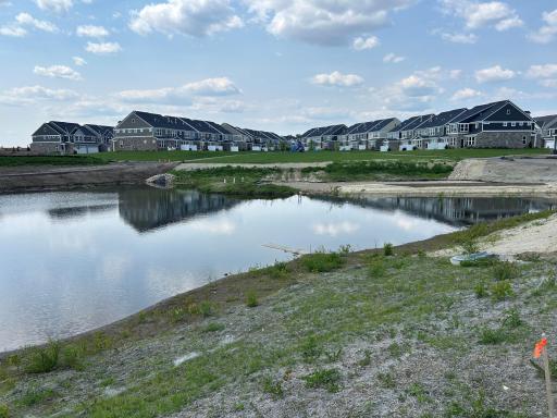 Amazing tranquil pond in the back.