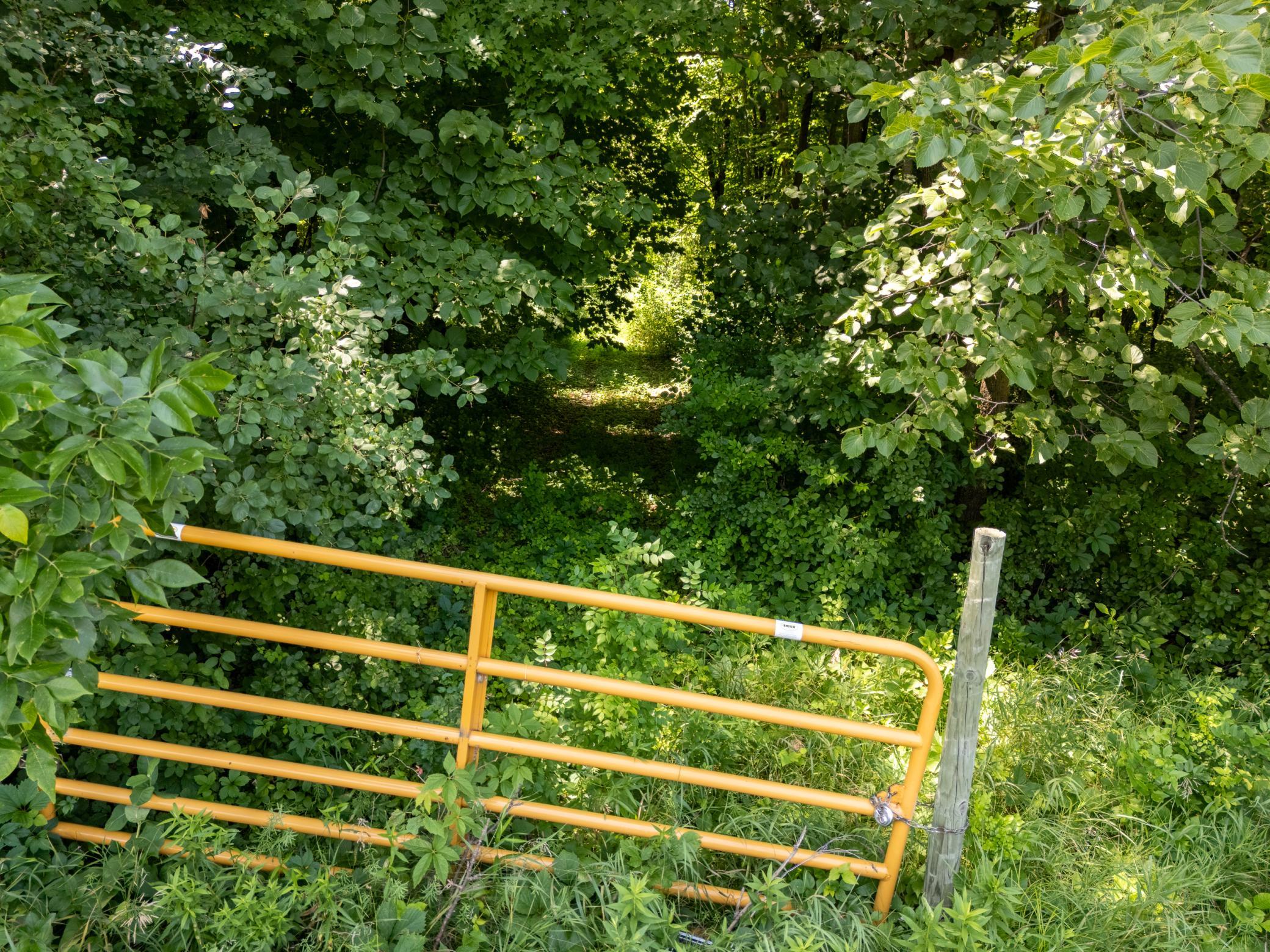 DJI_20260717140053_0058_D-HDR.jpg