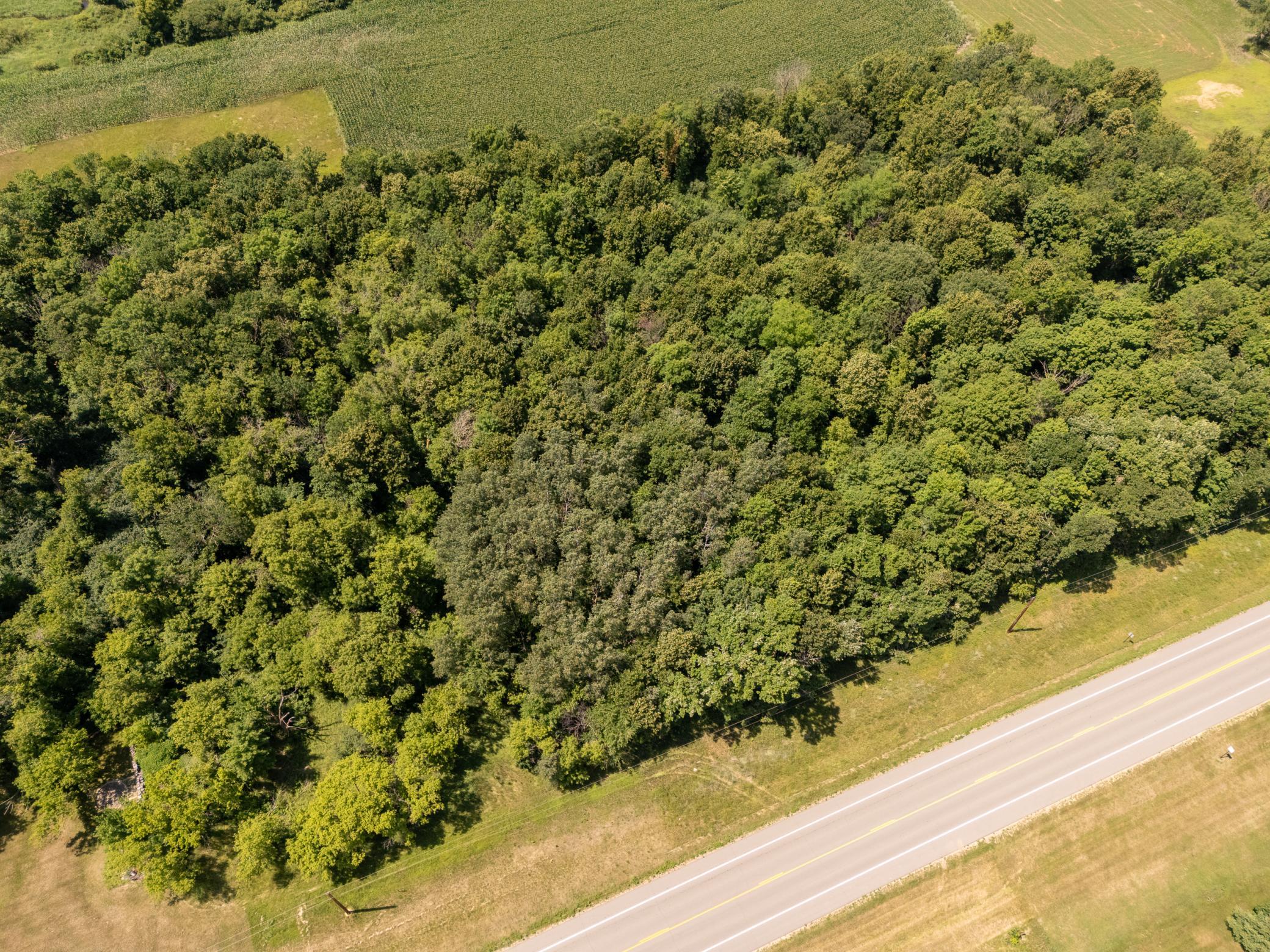 DJI_20260717135656_0036_D-HDR.jpg