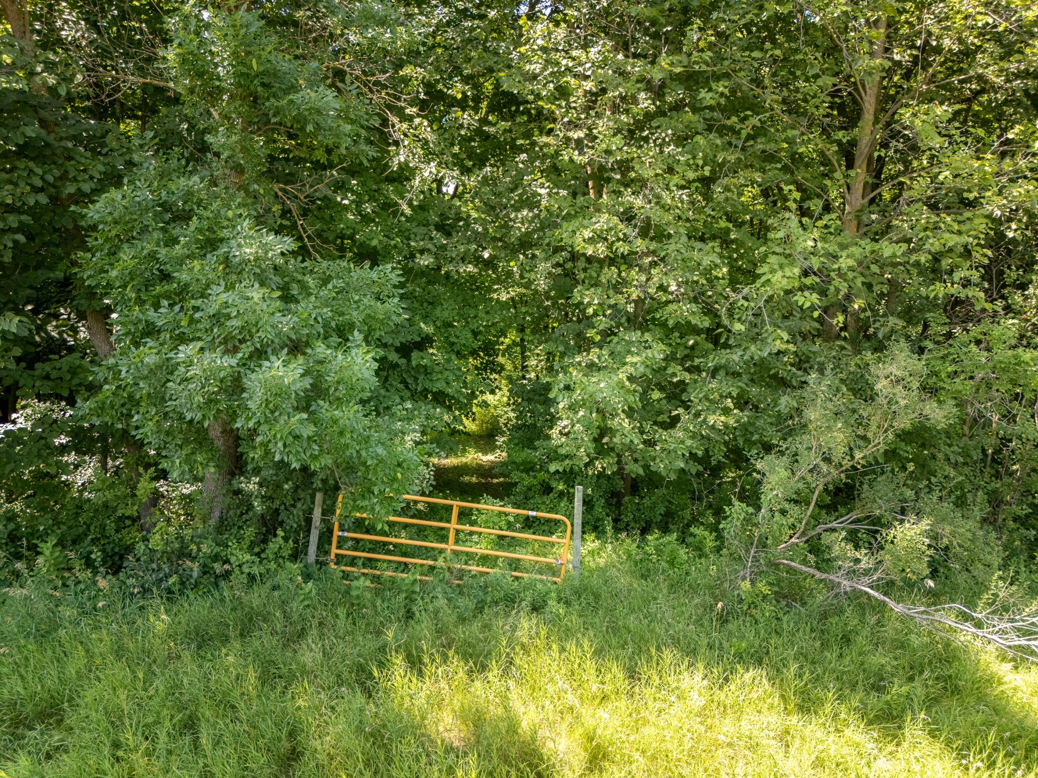 DJI_20260717140016_0055_D-HDR.jpg
