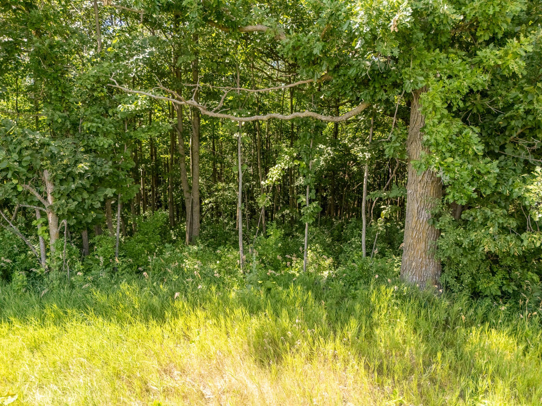 DJI_20260717135918_0049_D-HDR.jpg