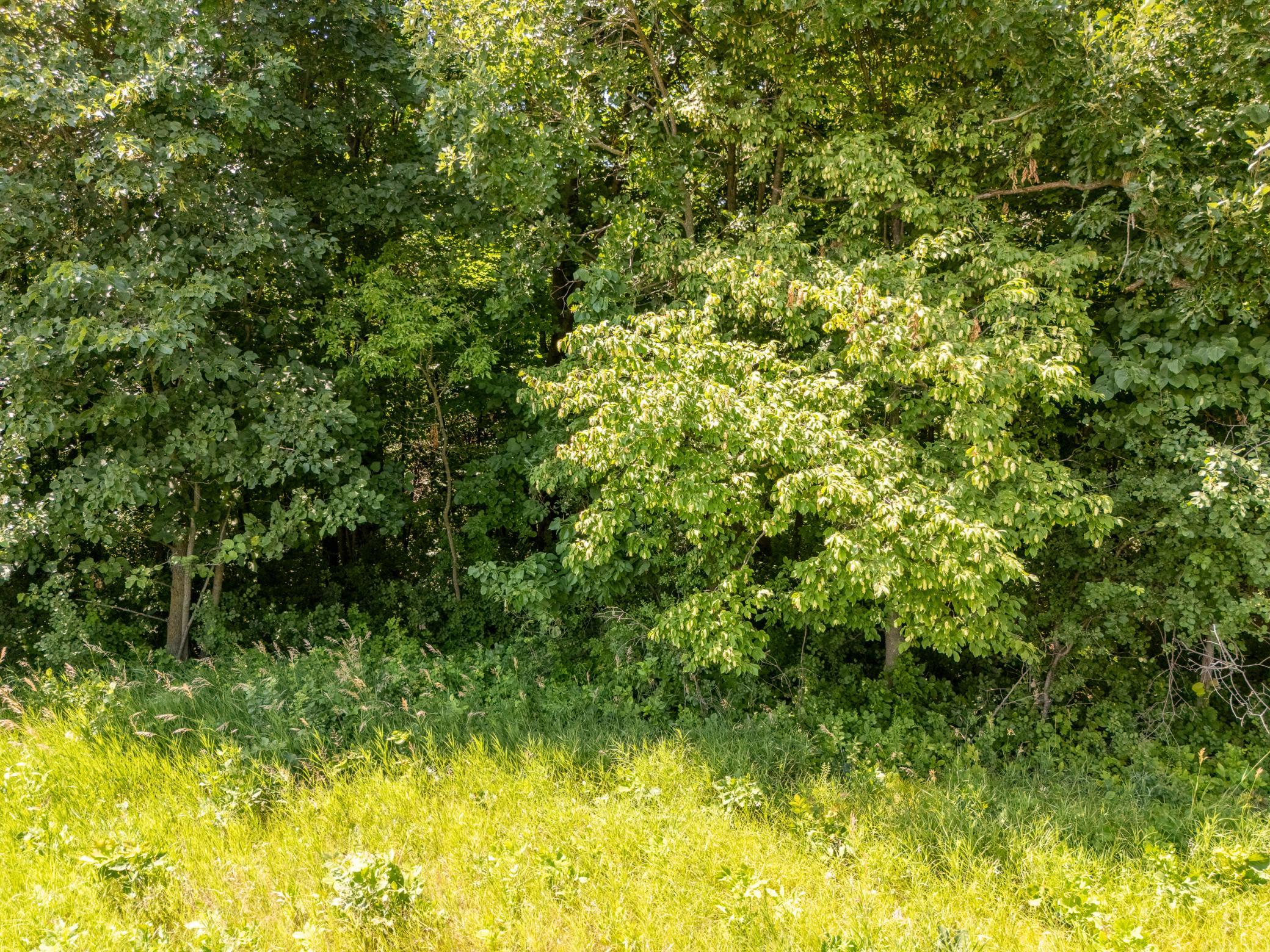 DJI_20260717135937_0052_D-HDR.jpg
