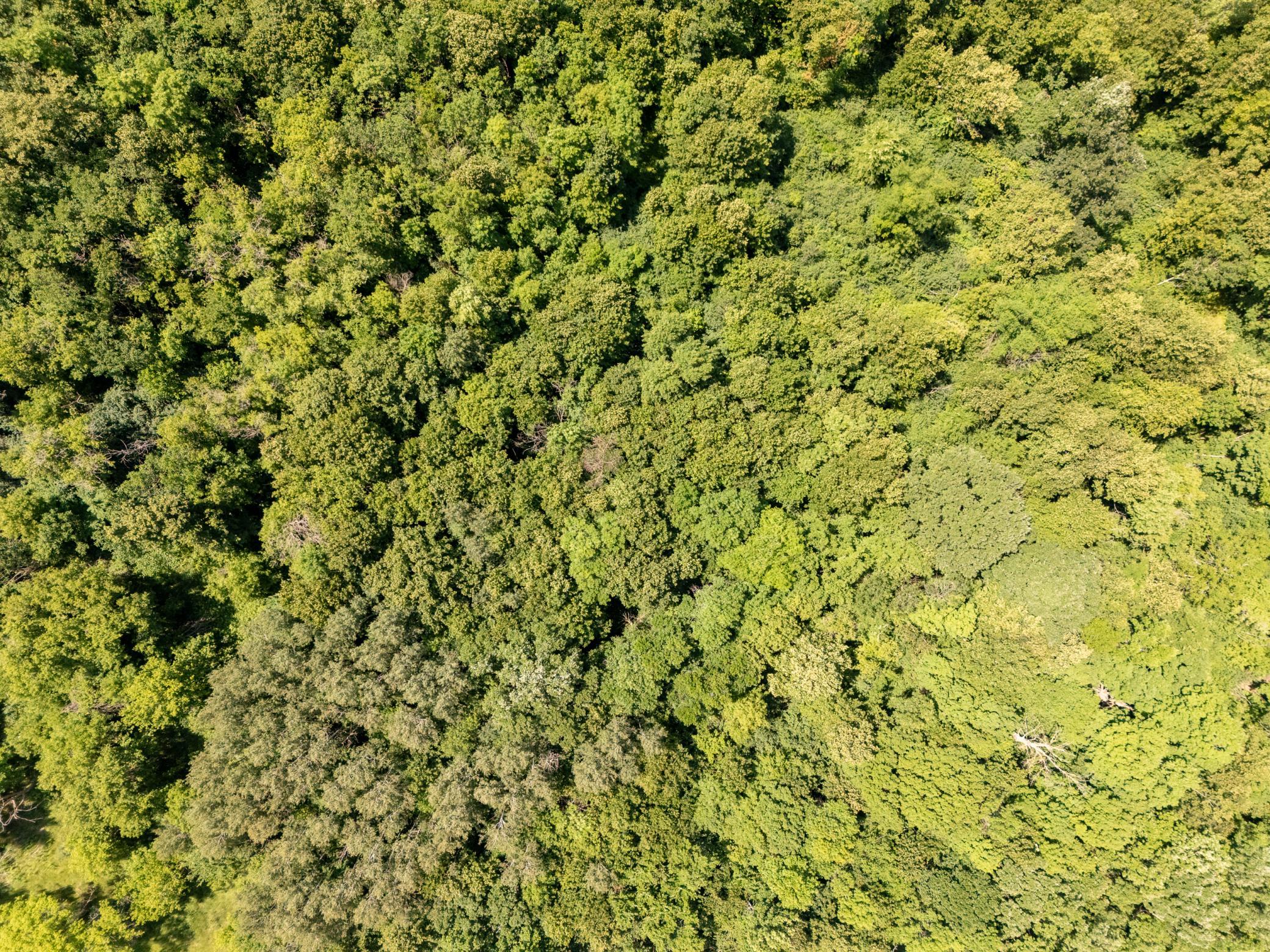 DJI_20260717135717_0037_D-HDR.jpg