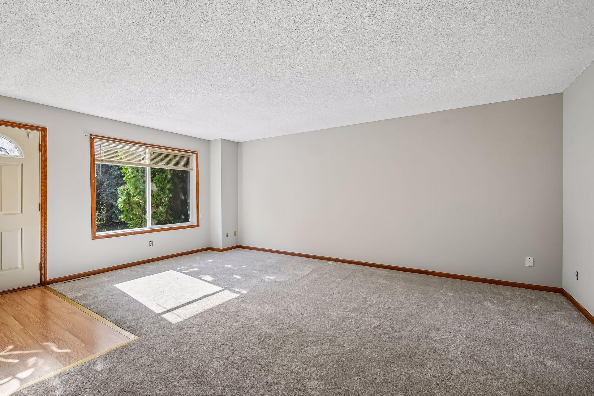 Living Room From the Kitchen