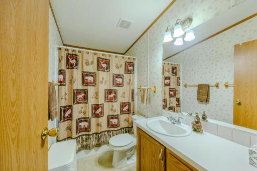 19350 Necktie Lane, Lake George, MN 56458