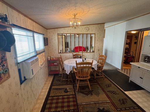 IMG_4431.jpeg