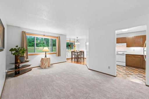 Renewal by Anderson new windows throughout