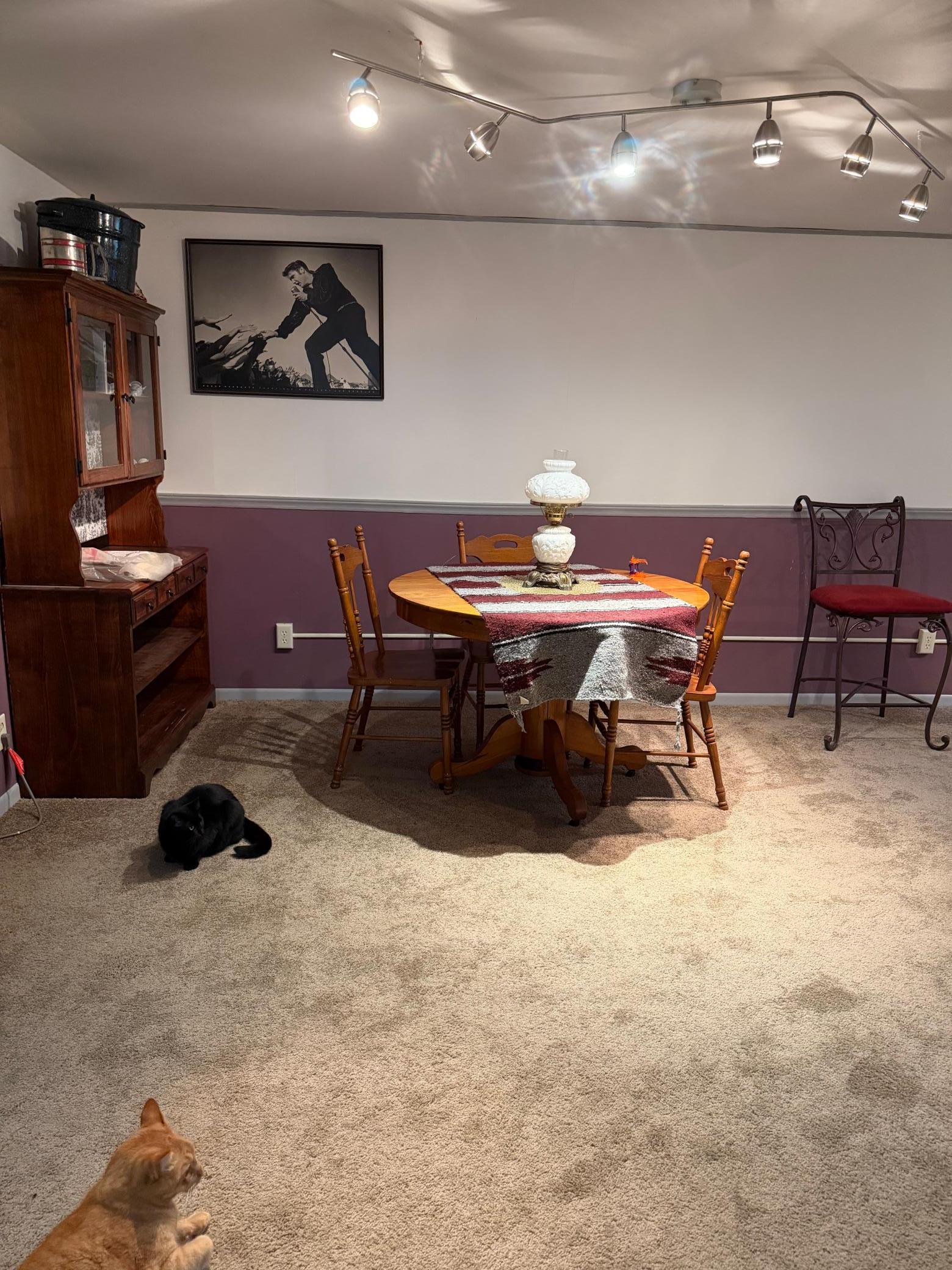 Family Room pt 2.jpeg
