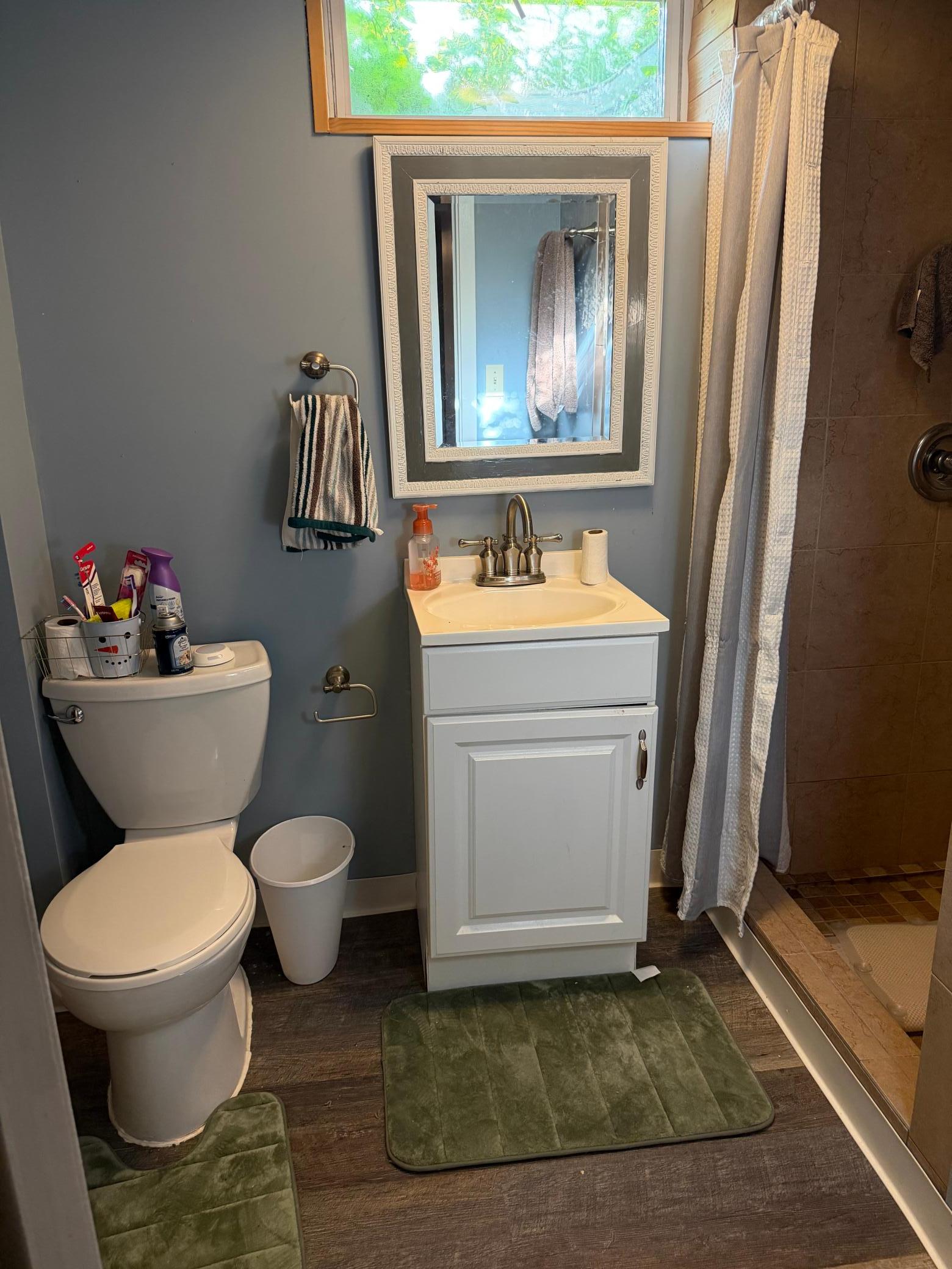 Lower Bathroom.jpeg