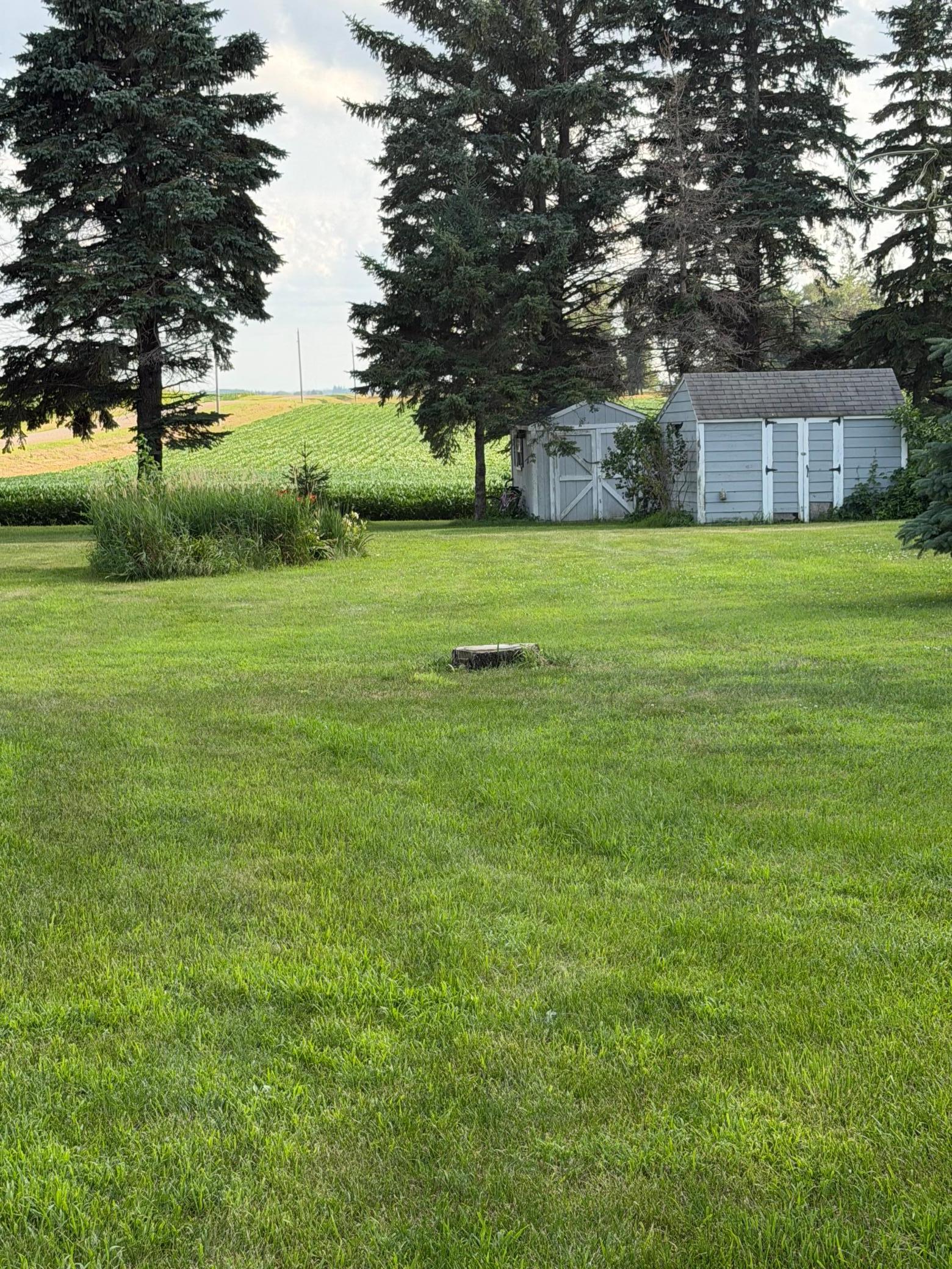 Sheds/Yard.jpeg