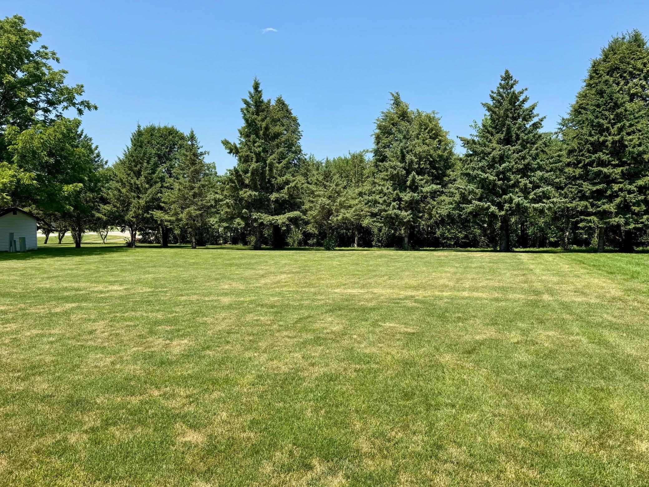 backyard view