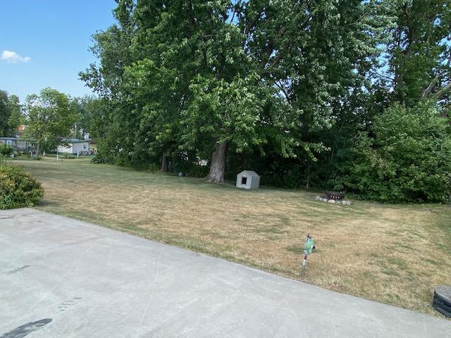 back yard