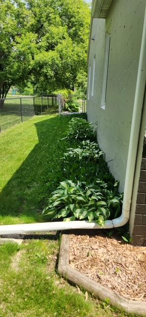 image13.jpeg