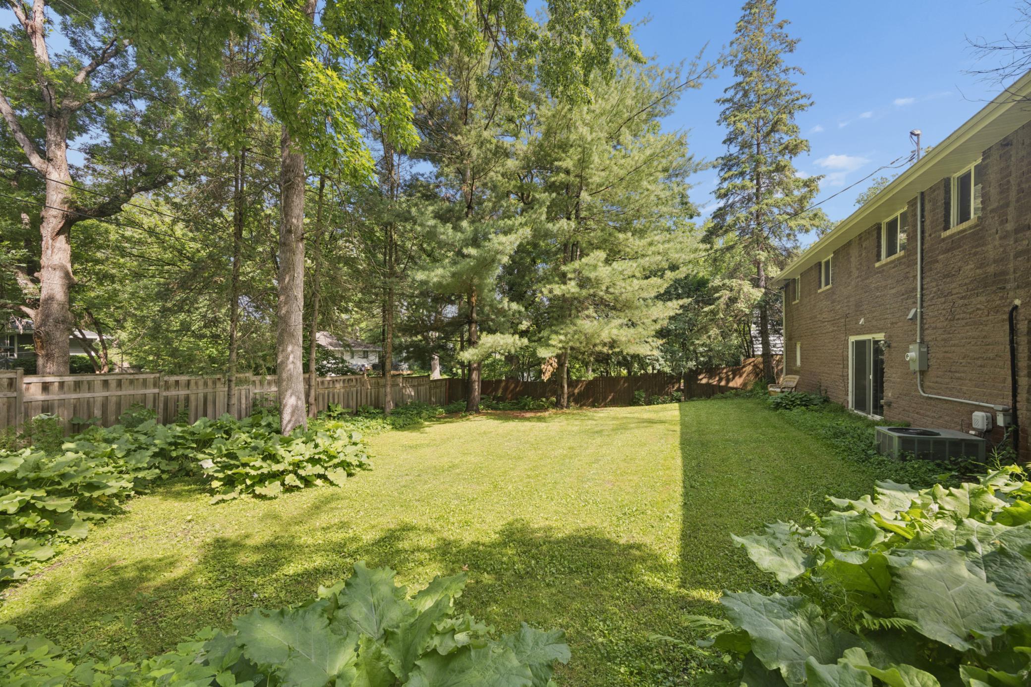 Partially fenced backyard