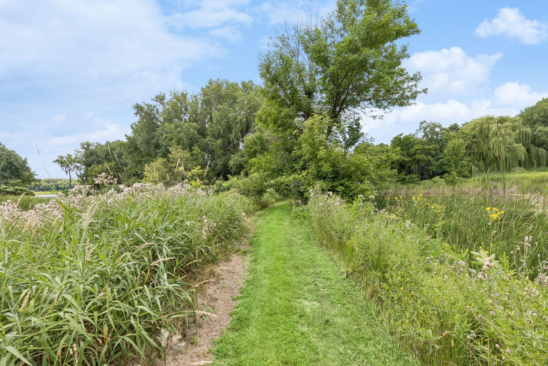 Path 1 to beach/dock