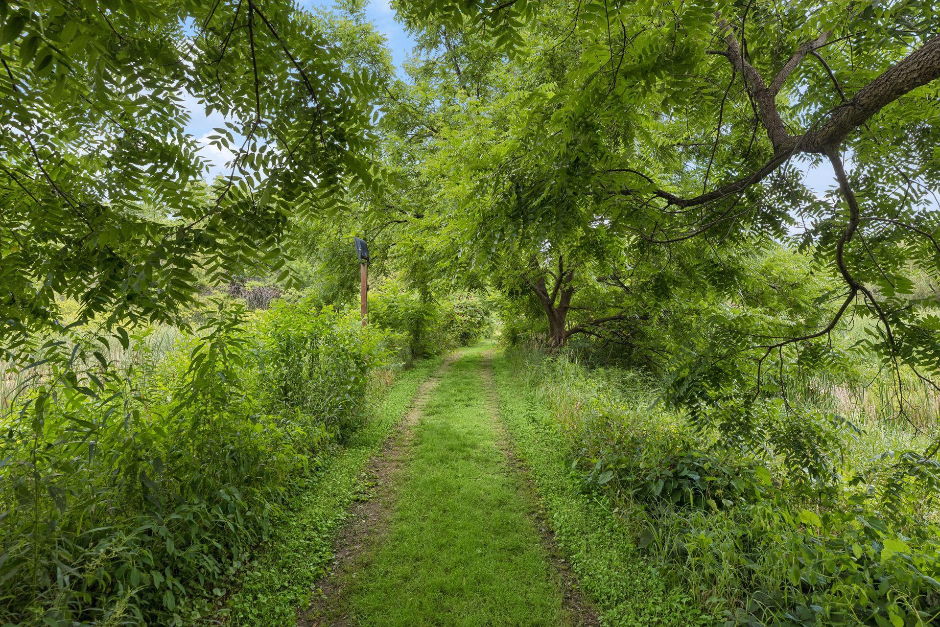 Path 2 to beach/dock