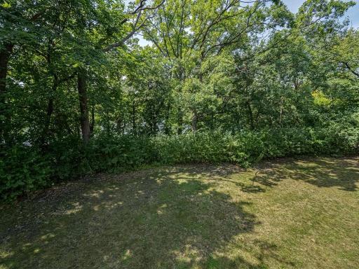 The rear yard with a with a look through the trees at the sparkling lake .