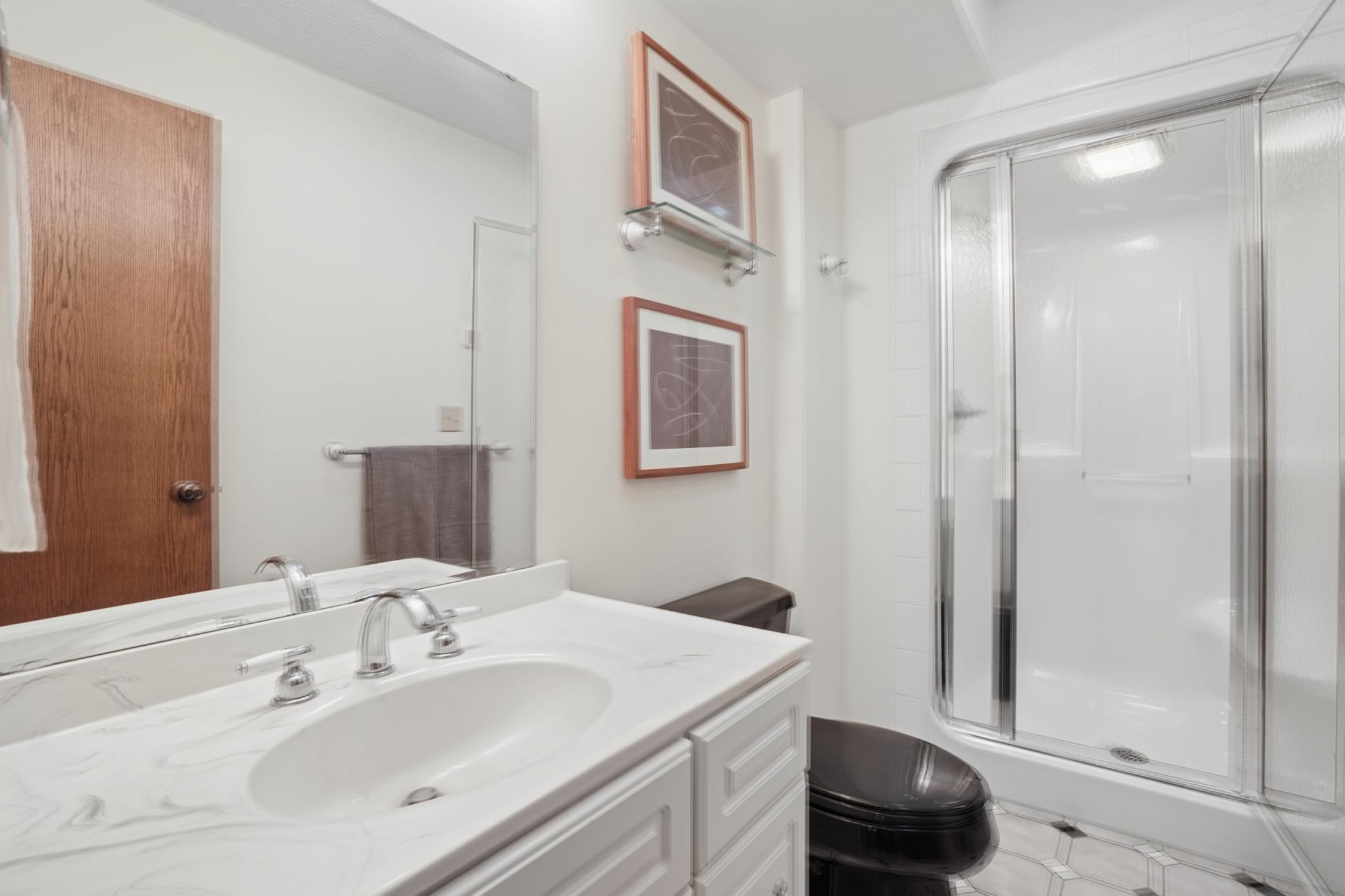 Lower level guest bath