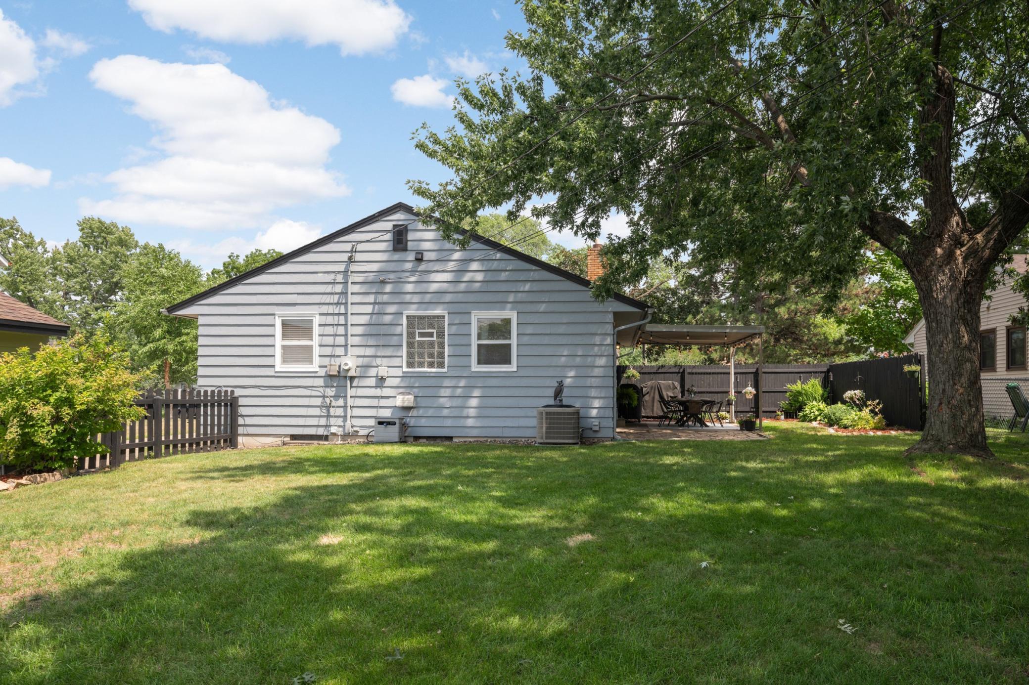 Backyard-1.jpg