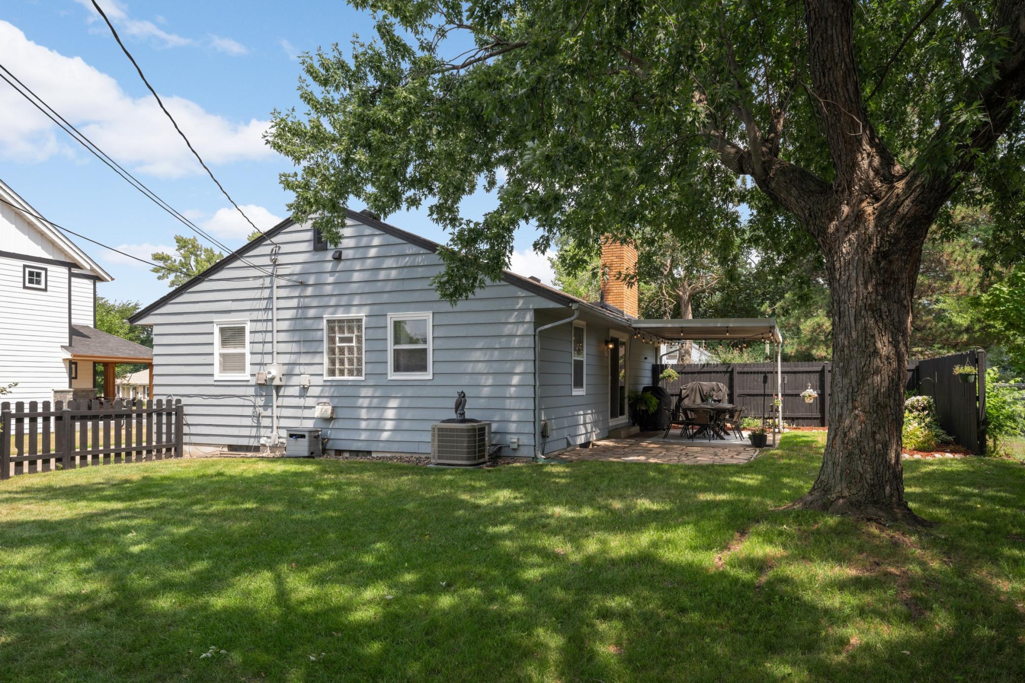 Backyard-2.jpg