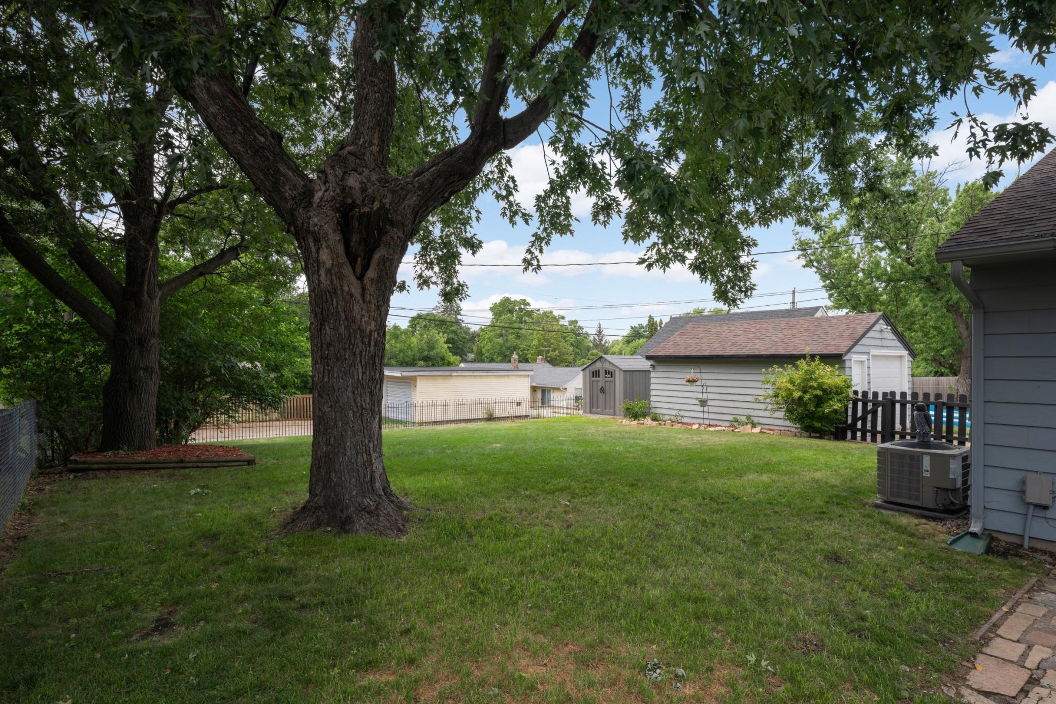 Backyard-3.jpg