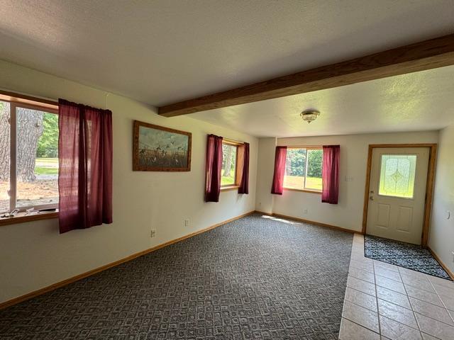 Lower level family room w/walkout