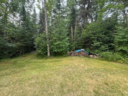 12219 Teufer Lake Road, Northome, MN 56661