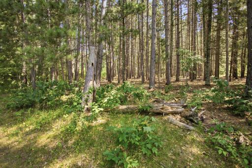 71-web-or-mls-26670-foxes-landing-rd.jpg