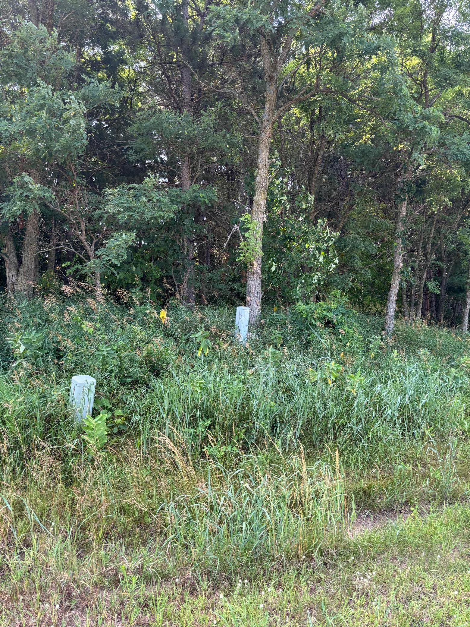 IMG_8204.jpeg