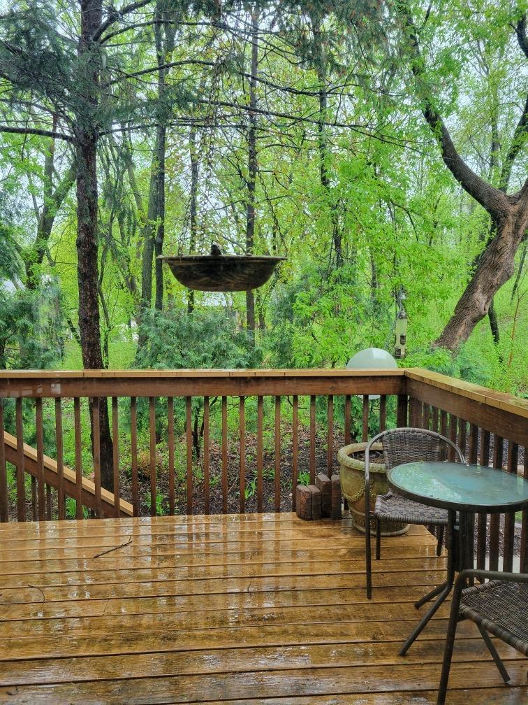 Deck View