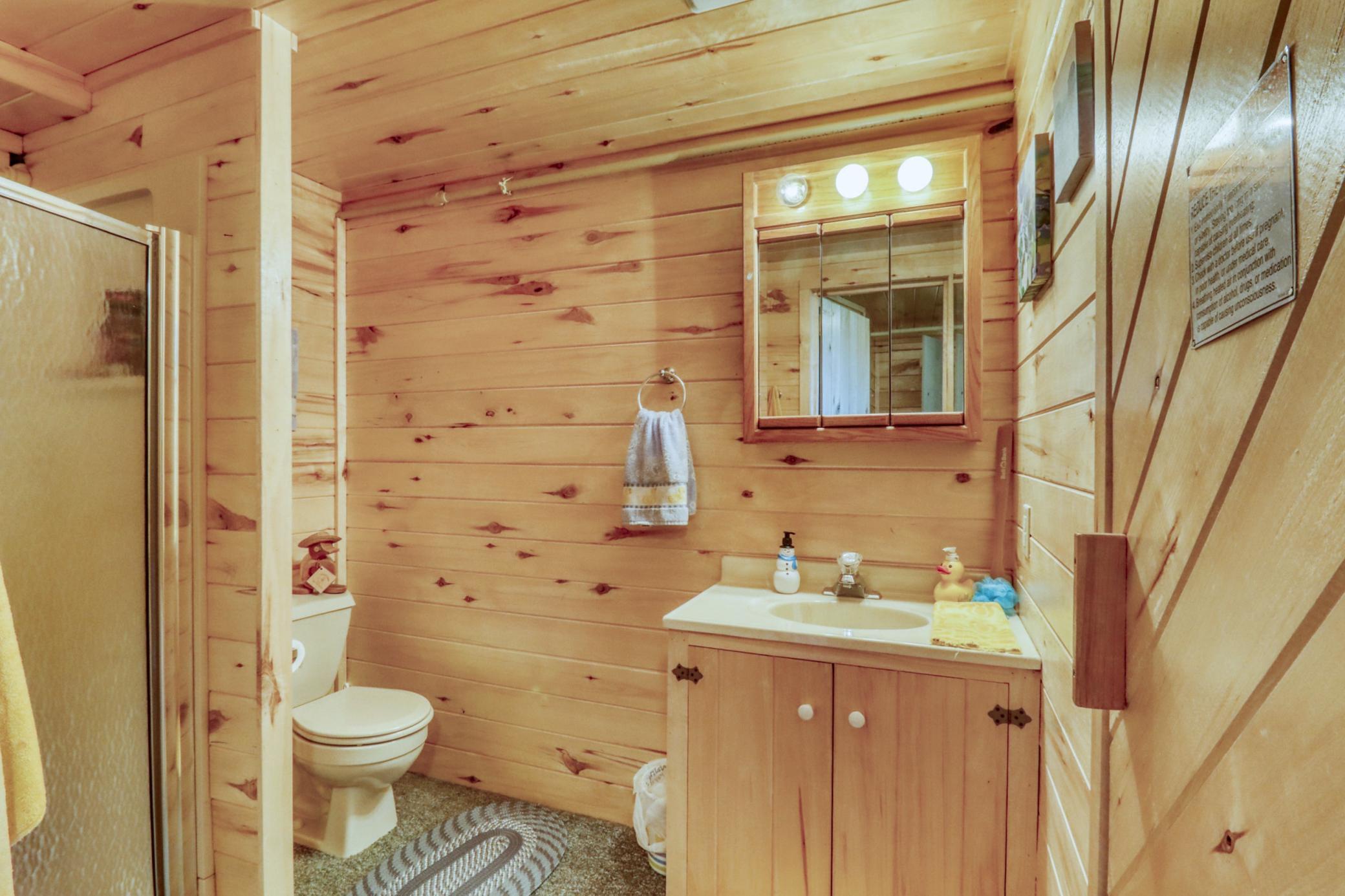 Basement Bathroom1_1-3264.jpeg
