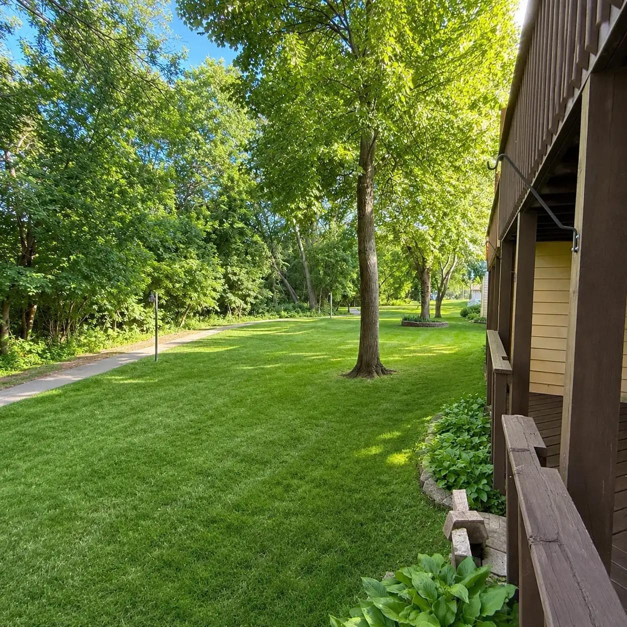 Backyard of the home.
