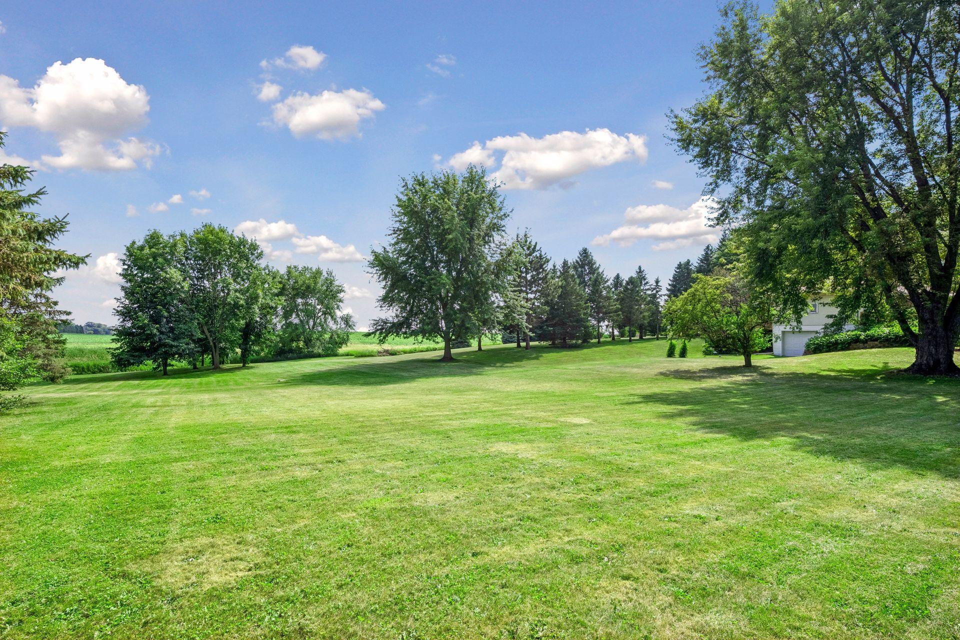 Back yard of 23235 Oakdale Dr