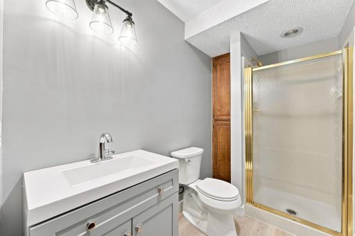 Lower level bathroom
