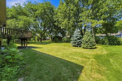 Beautiful and flat back yard