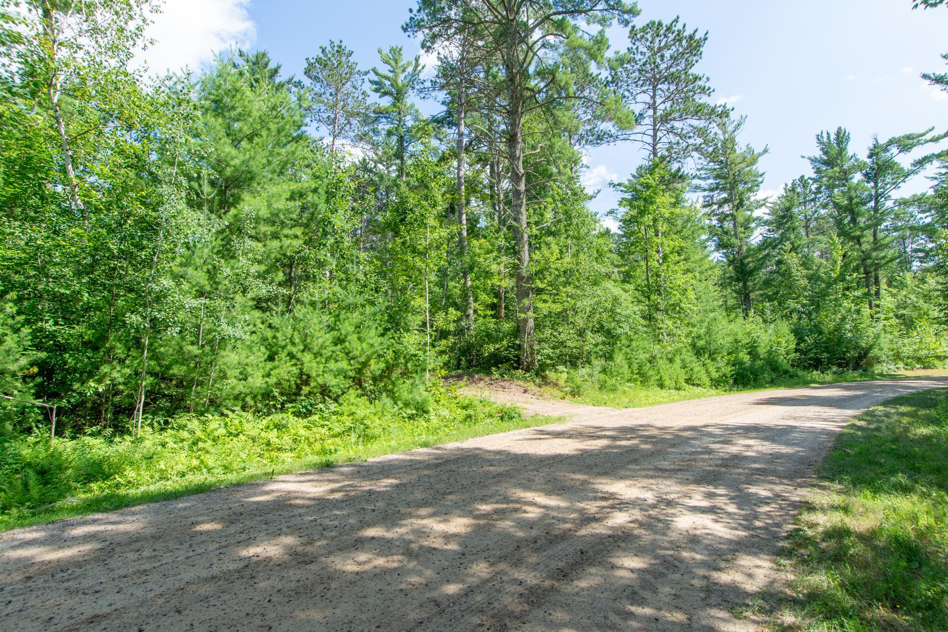 Photo 45