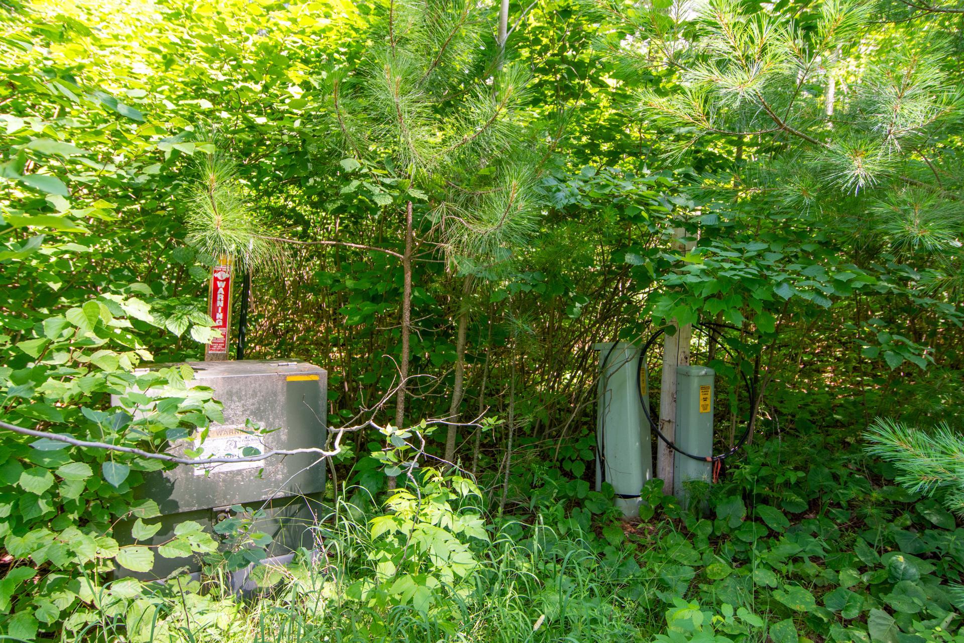 Photo 47