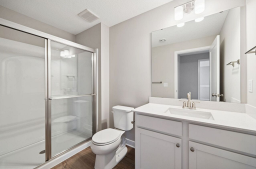 Bathroom 3 Lower Level