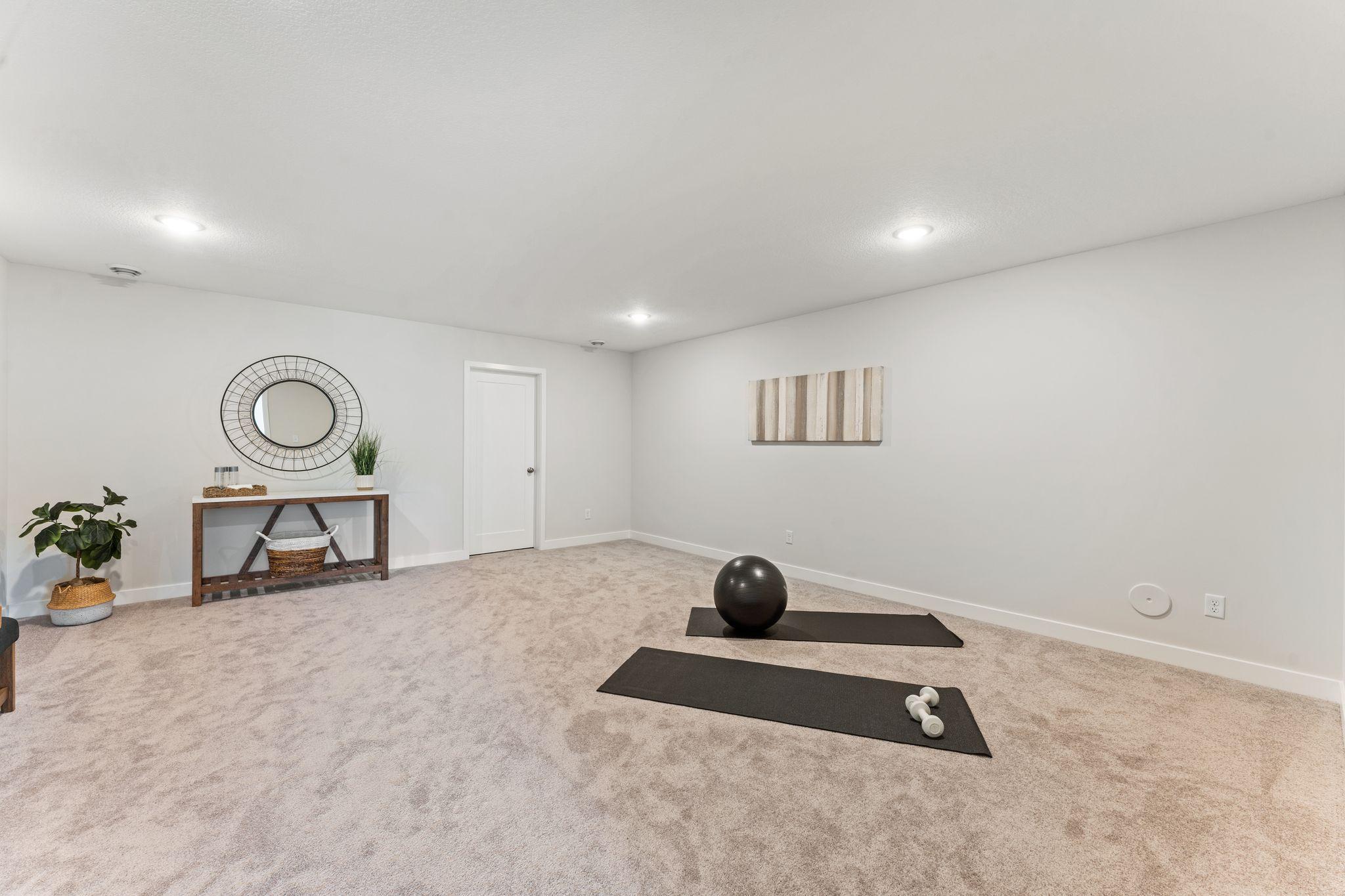 Flex Room Lower Level