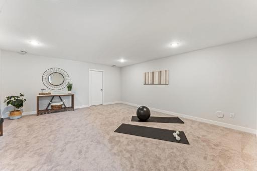 Flex Room Lower Level