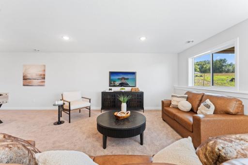 Family Room Lower Level
