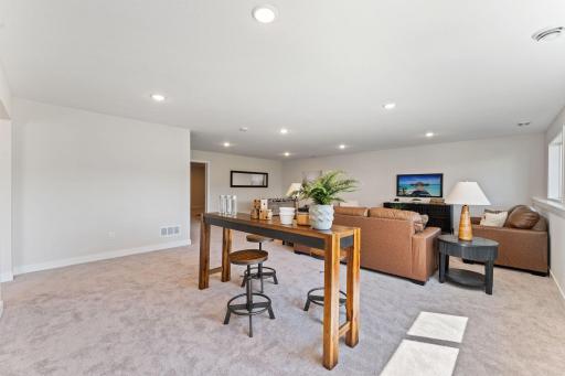Family Room Lower Level